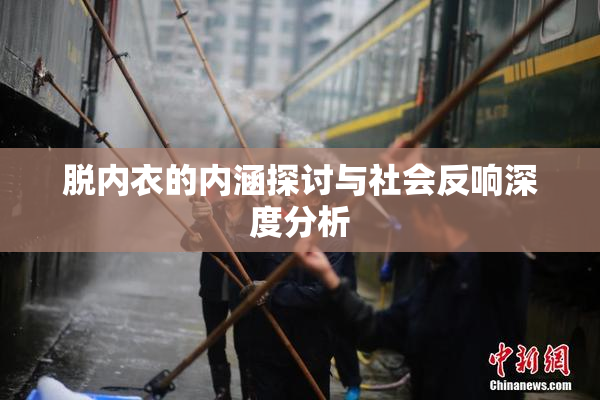 脱内衣的内涵探讨与社会反响深度分析