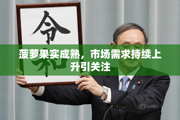 菠萝果实成熟，市场需求持续上升引关注