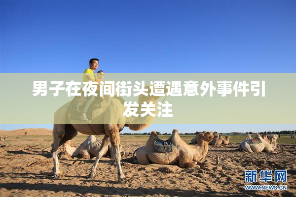 男子在夜间街头遭遇意外事件引发关注