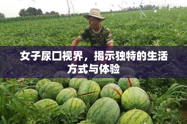 女子尿囗视界，揭示独特的生活方式与体验