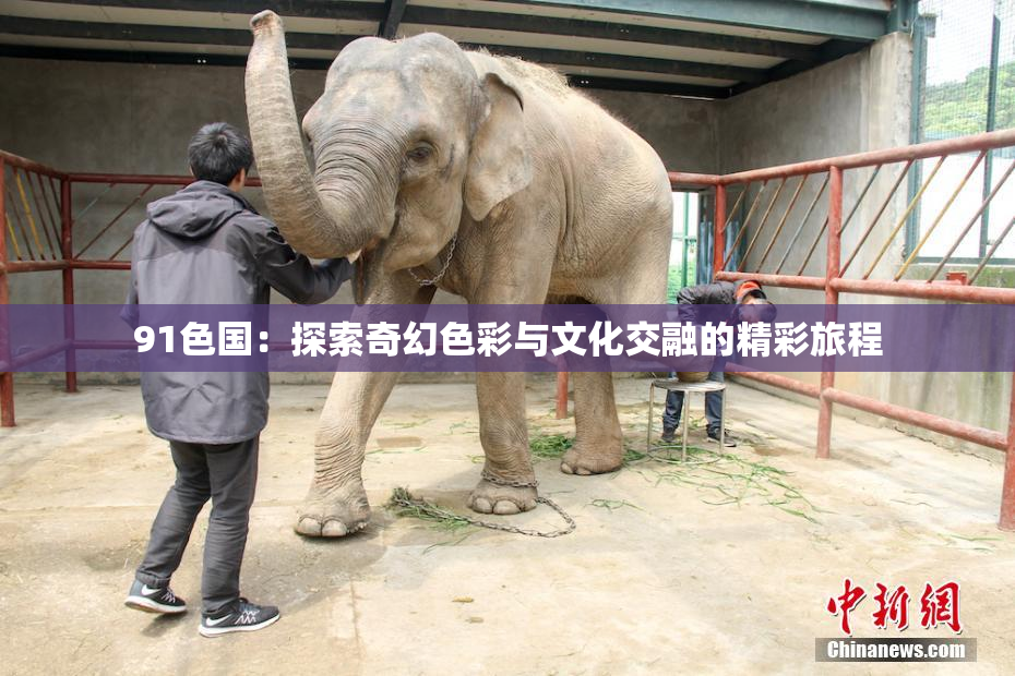 91色国：探索奇幻色彩与文化交融的精彩旅程