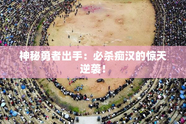 神秘勇者出手：必杀痴汉的惊天逆袭！