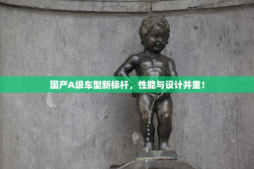 国产A级车型新标杆，性能与设计并重！