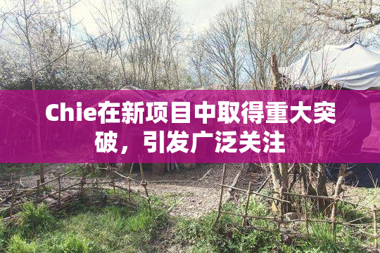Chie在新项目中取得重大突破，引发广泛关注