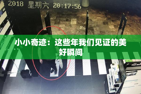 小小奇迹：这些年我们见证的美好瞬间