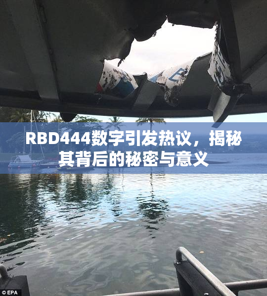 RBD444数字引发热议，揭秘其背后的秘密与意义