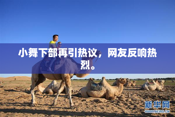 小舞下部再引热议，网友反响热烈。