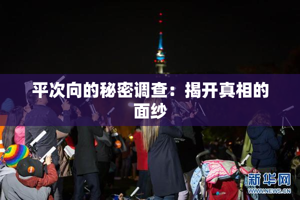 平次向的秘密调查：揭开真相的面纱