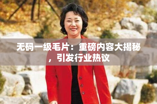 无码一级毛片：重磅内容大揭秘，引发行业热议