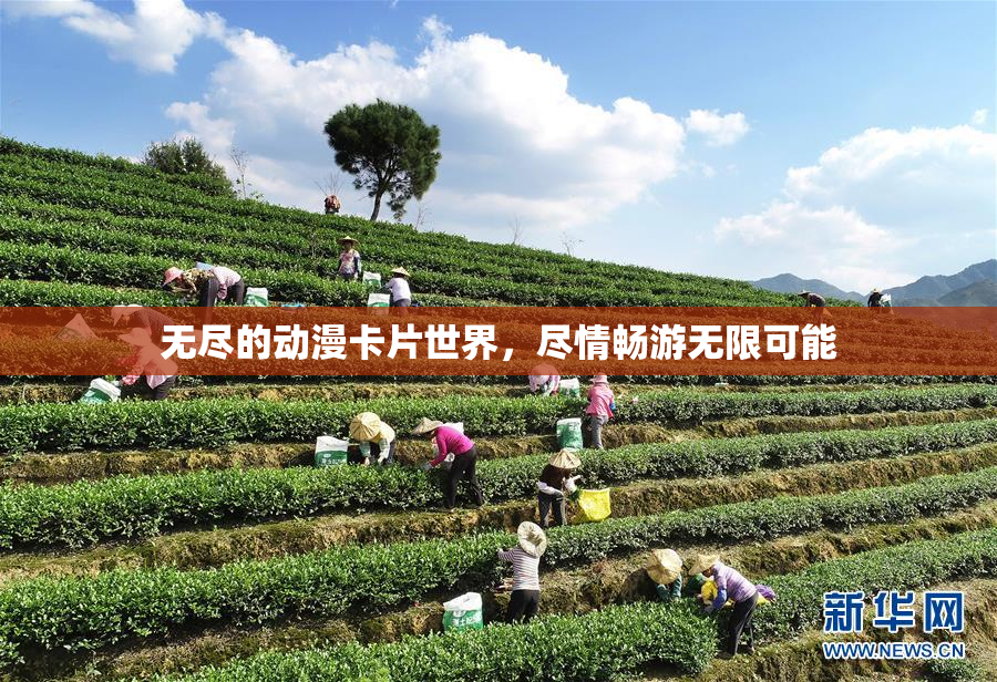 无尽的动漫卡片世界，尽情畅游无限可能