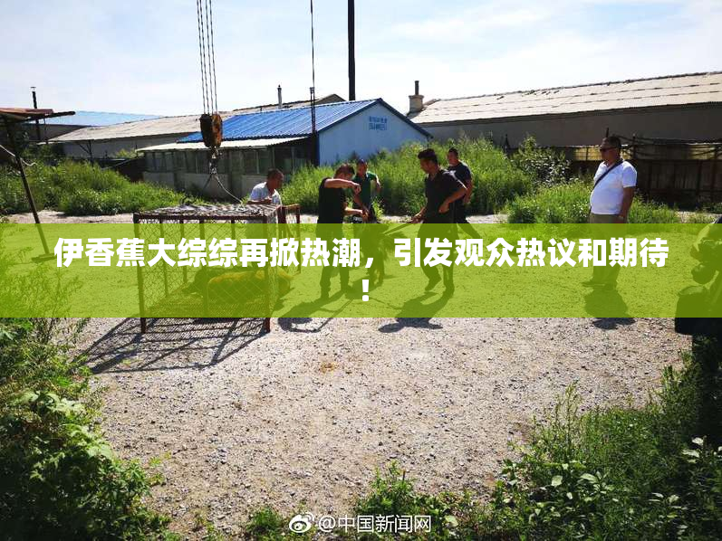 伊香蕉大综综再掀热潮，引发观众热议和期待！
