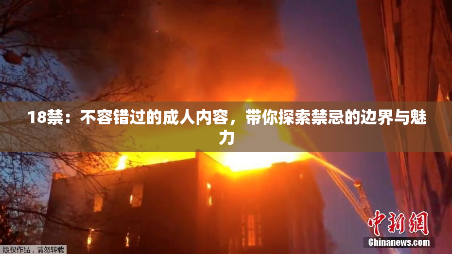 18禁：不容错过的成人内容，带你探索禁忌的边界与魅力