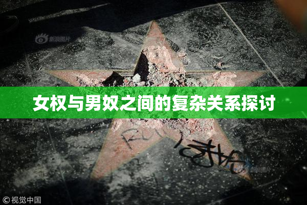 女权与男奴之间的复杂关系探讨