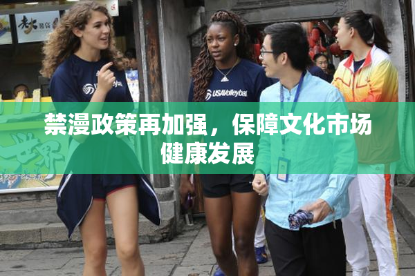 禁漫政策再加强，保障文化市场健康发展