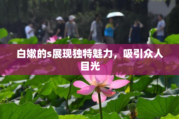 白嫩的s展现独特魅力，吸引众人目光