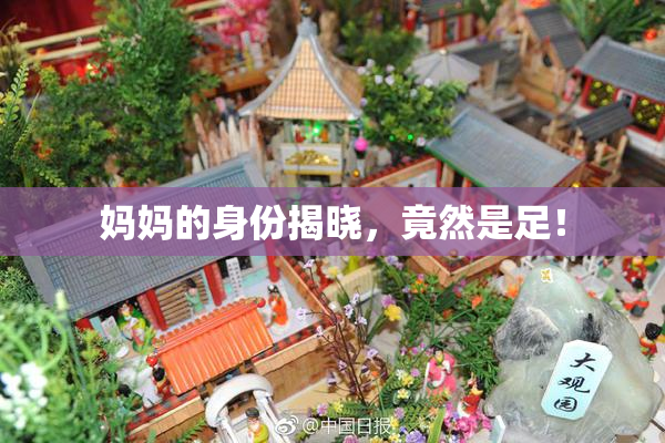 妈妈的身份揭晓，竟然是足！