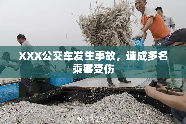 XXX公交车发生事故，造成多名乘客受伤