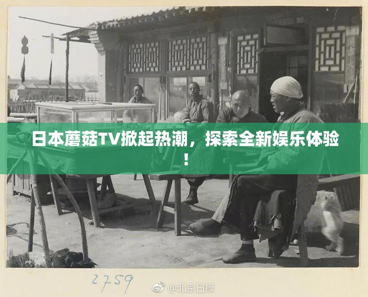 日本蘑菇TV掀起热潮，探索全新娱乐体验！