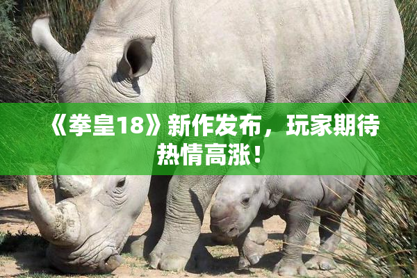 《拳皇18》新作发布，玩家期待热情高涨！