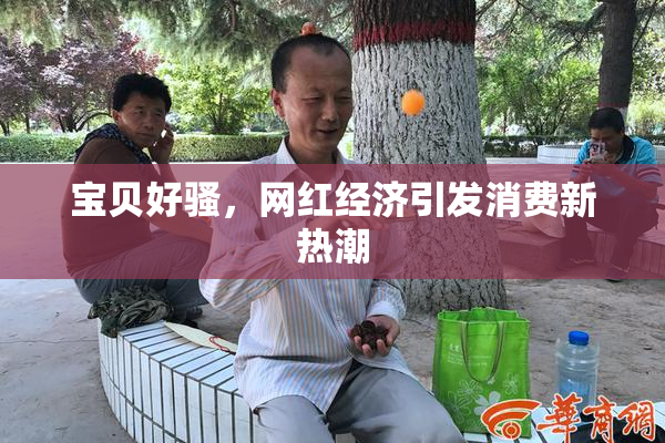 宝贝好骚，网红经济引发消费新热潮