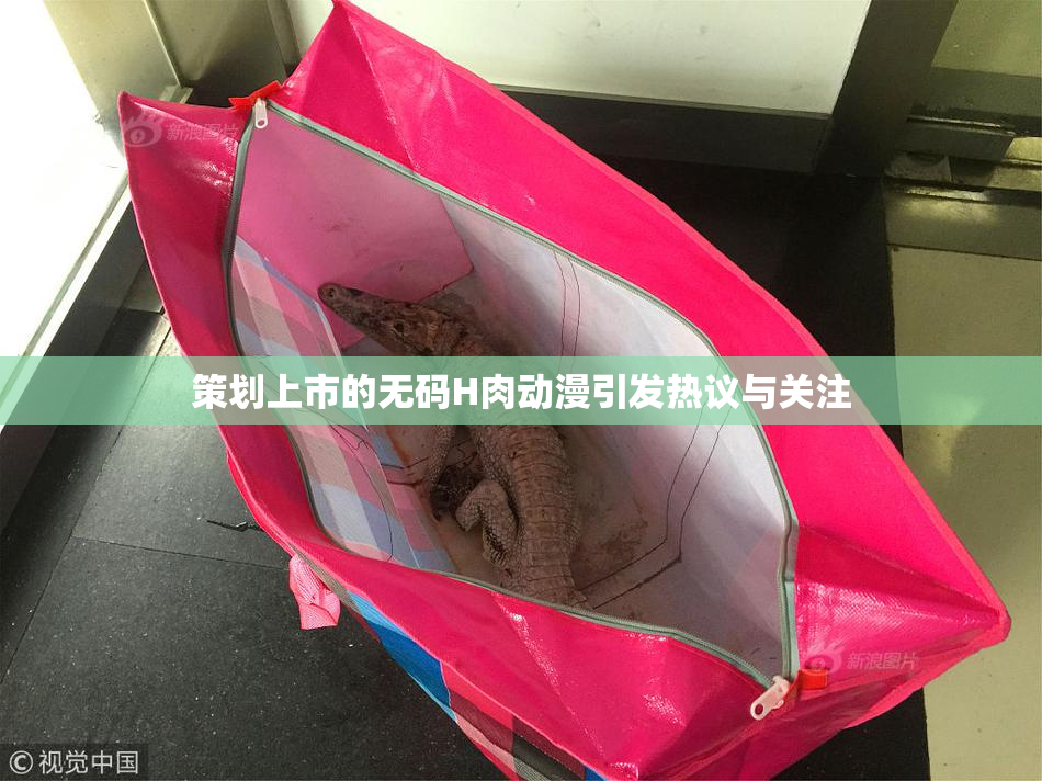 策划上市的无码H肉动漫引发热议与关注