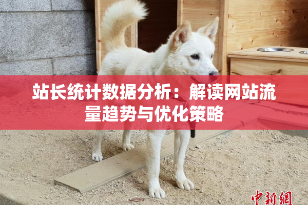 站长统计数据分析：解读网站流量趋势与优化策略