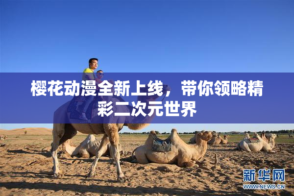 樱花动漫全新上线，带你领略精彩二次元世界