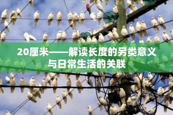 20厘米——解读长度的另类意义与日常生活的关联