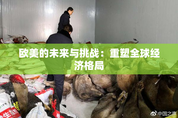 欧美的未来与挑战：重塑全球经济格局