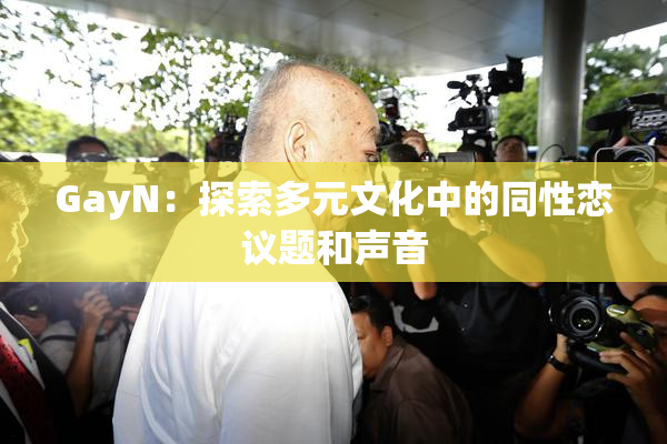 GayN：探索多元文化中的同性恋议题和声音