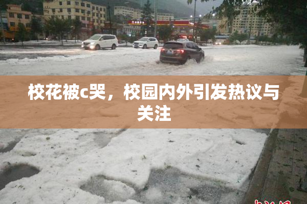 校花被c哭，校园内外引发热议与关注