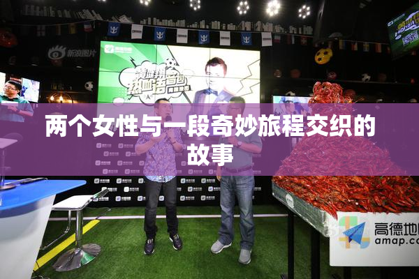 两个女性与一段奇妙旅程交织的故事