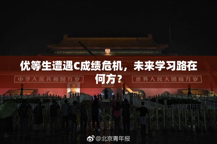 优等生遭遇C成绩危机，未来学习路在何方？