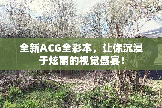 全新ACG全彩本，让你沉浸于炫丽的视觉盛宴！