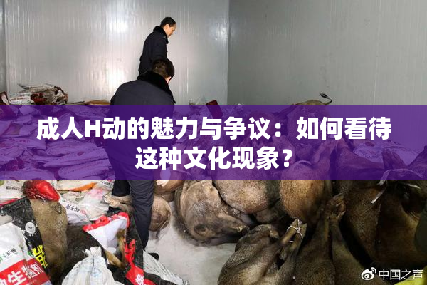 成人H动的魅力与争议：如何看待这种文化现象？