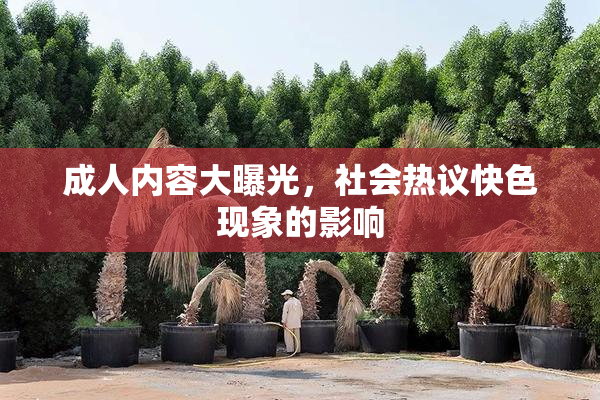 成人内容大曝光，社会热议快色现象的影响