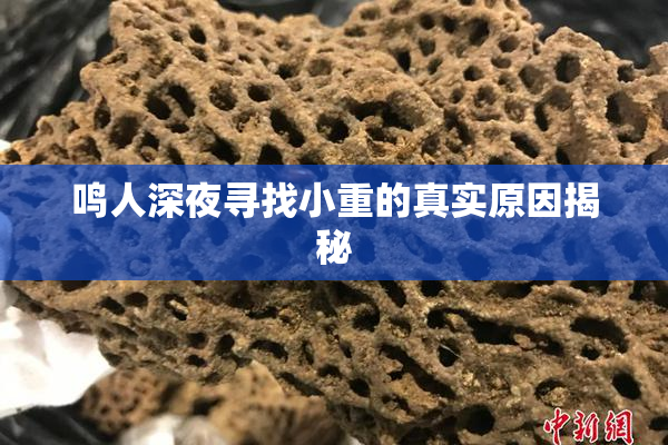 鸣人深夜寻找小重的真实原因揭秘
