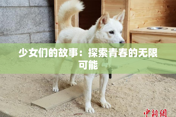 少女们的故事：探索青春的无限可能