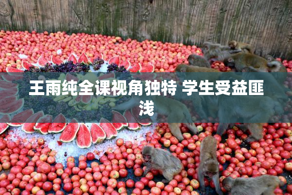 王雨纯全课视角独特 学生受益匪浅