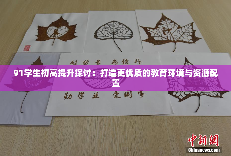 91学生初高提升探讨：打造更优质的教育环境与资源配置
