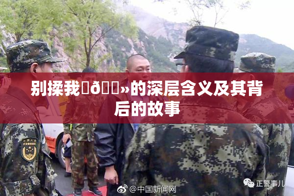 别揉我‌🐻的深层含义及其背后的故事