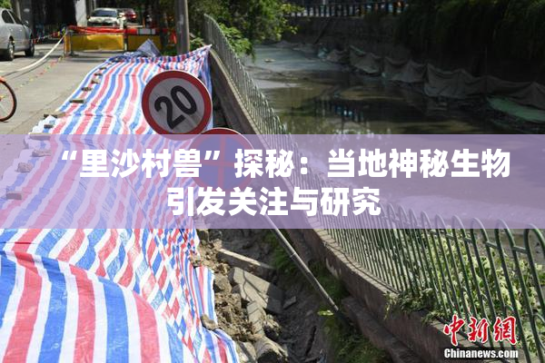 “里沙村兽”探秘：当地神秘生物引发关注与研究
