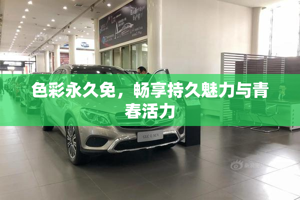 色彩永久免，畅享持久魅力与青春活力