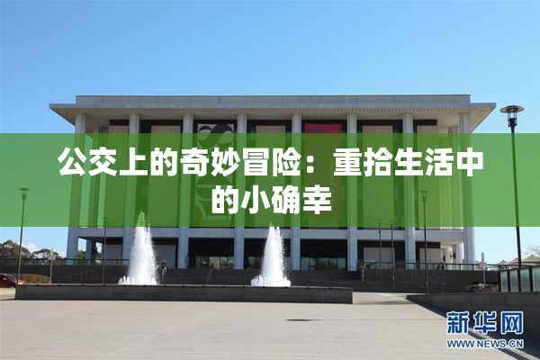 公交上的奇妙冒险：重拾生活中的小确幸