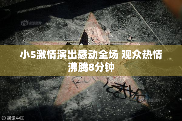 小S激情演出感动全场 观众热情沸腾8分钟