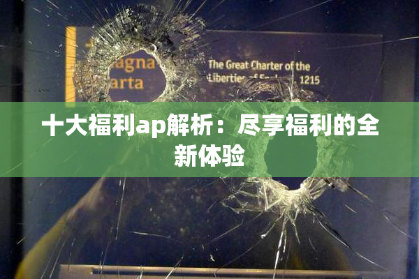 十大福利ap解析：尽享福利的全新体验