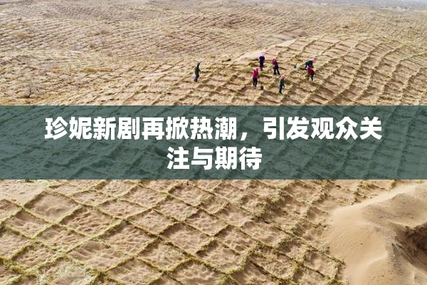 珍妮新剧再掀热潮，引发观众关注与期待