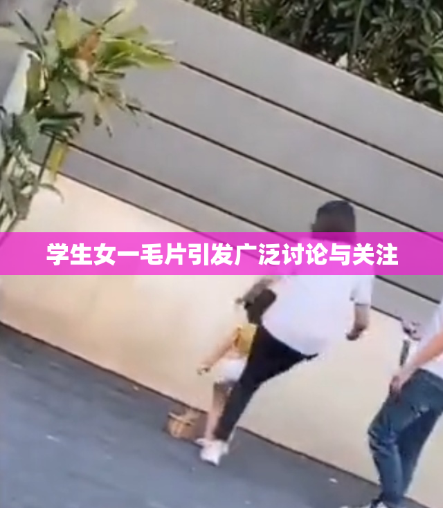 学生女一毛片引发广泛讨论与关注