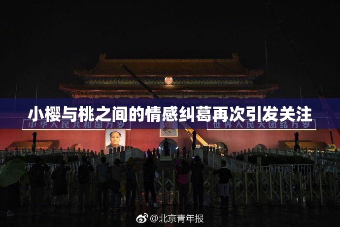 小樱与桃之间的情感纠葛再次引发关注