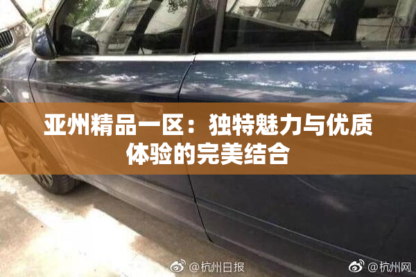 亚州精品一区：独特魅力与优质体验的完美结合